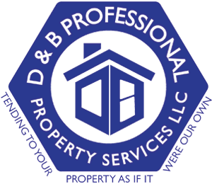 D & B Professional Logo